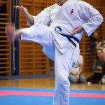 des "Shiai Karate Do" Vereins Wien