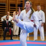 des "Shiai Karate Do" Vereins Wien