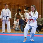 des "Shiai Karate Do" Vereins Wien