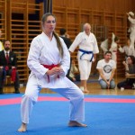 des "Shiai Karate Do" Vereins Wien