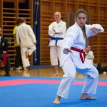 des "Shiai Karate Do" Vereins Wien