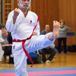 des "Shiai Karate Do" Vereins Wien