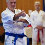 des "Shiai Karate Do" Vereins Wien