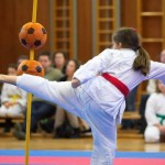 des "Shiai Karate Do" Vereins Wien