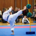 des "Shiai Karate Do" Vereins Wien