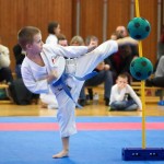 des "Shiai Karate Do" Vereins Wien