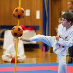 des "Shiai Karate Do" Vereins Wien