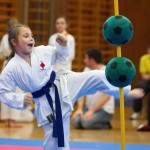 des "Shiai Karate Do" Vereins Wien