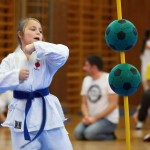 des "Shiai Karate Do" Vereins Wien