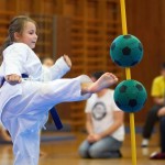 des "Shiai Karate Do" Vereins Wien