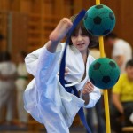 des "Shiai Karate Do" Vereins Wien