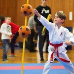 des "Shiai Karate Do" Vereins Wien