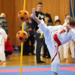 des "Shiai Karate Do" Vereins Wien