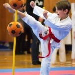 des "Shiai Karate Do" Vereins Wien