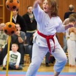 des "Shiai Karate Do" Vereins Wien