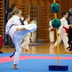 des "Shiai Karate Do" Vereins Wien