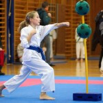 des "Shiai Karate Do" Vereins Wien