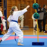 des "Shiai Karate Do" Vereins Wien