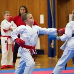 des "Shiai Karate Do" Vereins Wien