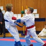 des "Shiai Karate Do" Vereins Wien