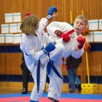 des "Shiai Karate Do" Vereins Wien