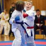 des "Shiai Karate Do" Vereins Wien