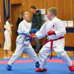 des "Shiai Karate Do" Vereins Wien