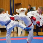 des "Shiai Karate Do" Vereins Wien