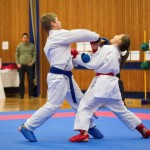 des "Shiai Karate Do" Vereins Wien