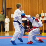 des "Shiai Karate Do" Vereins Wien