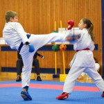 des "Shiai Karate Do" Vereins Wien