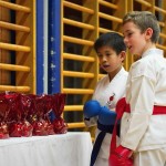 des "Shiai Karate Do" Vereins Wien