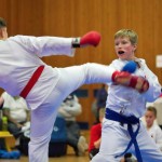 des "Shiai Karate Do" Vereins Wien