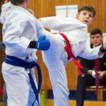 des "Shiai Karate Do" Vereins Wien