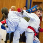 des "Shiai Karate Do" Vereins Wien