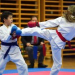 des "Shiai Karate Do" Vereins Wien