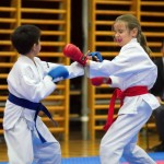 des "Shiai Karate Do" Vereins Wien