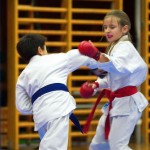 des "Shiai Karate Do" Vereins Wien