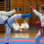 des "Shiai Karate Do" Vereins Wien