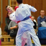 des "Shiai Karate Do" Vereins Wien