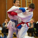 des "Shiai Karate Do" Vereins Wien