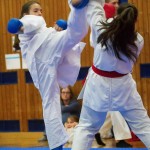 des "Shiai Karate Do" Vereins Wien