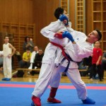 des "Shiai Karate Do" Vereins Wien