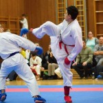 des "Shiai Karate Do" Vereins Wien