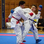 des "Shiai Karate Do" Vereins Wien