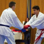 des "Shiai Karate Do" Vereins Wien