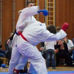 des "Shiai Karate Do" Vereins Wien