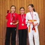 des "Shiai Karate Do" Vereins Wien