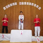 des "Shiai Karate Do" Vereins Wien