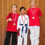 des "Shiai Karate Do" Vereins Wien